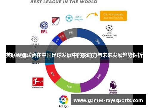 英联级别联赛在中国足球发展中的影响力与未来发展趋势探析