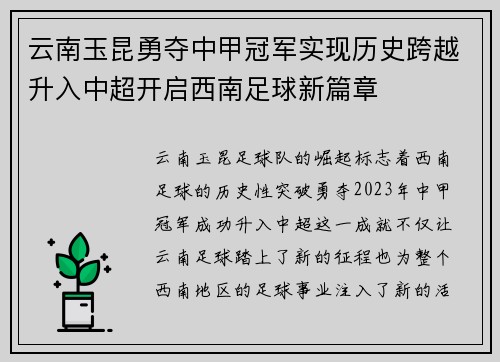 云南玉昆勇夺中甲冠军实现历史跨越升入中超开启西南足球新篇章 云南玉昆勇夺中甲冠军实现历史跨越升入中超开启西南足球新篇章
